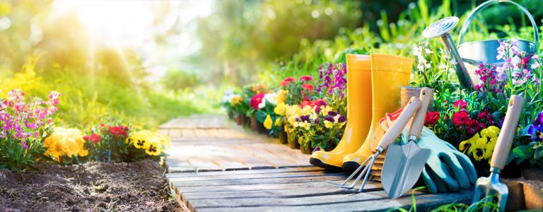Giving employees the tools to grow